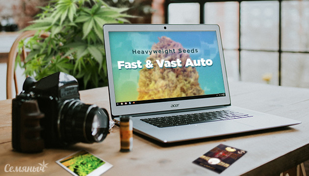 Гроурепорт сорта Fast & Vast auto