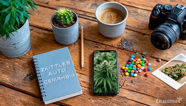 Гроурепорт сорта Zkittlez Auto fem от Семяныча